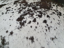 Load image into Gallery viewer, Premium Exotic Cowhide 1.65 x 2.16 m